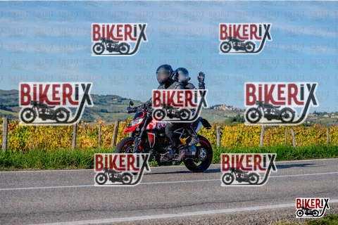 Chianti 12-10-25 h16-43 4468