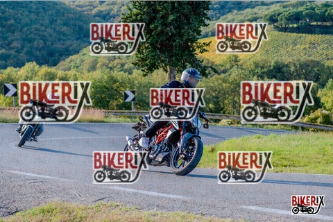 Chianti 12-10-25 h16-46 4490