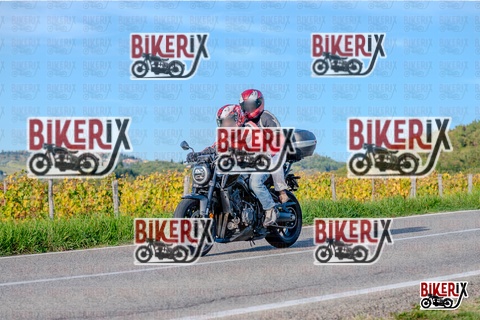 Chianti 12-10-25 h16-49 4501