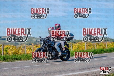 Chianti 12-10-25 h16-49 4503