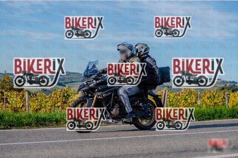 Chianti 12-10-25 h16-58 4614