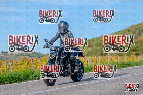 Chianti 12-10-25 h16-59 4640