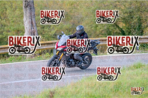 Chianti 26-10-25 h11-59 0433