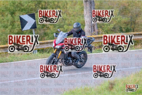 Chianti 26-10-25 h11-59 0435