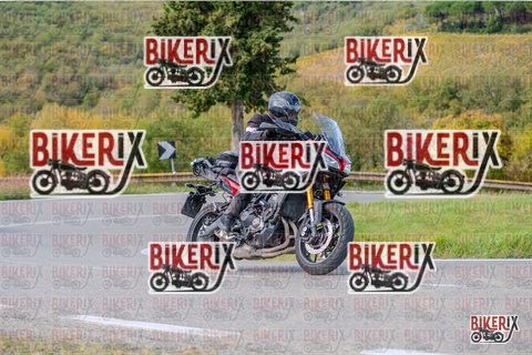 Chianti 26-10-25 h11-59 0437