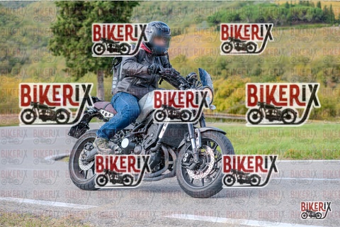 Chianti 26-10-25 h11-59 0442