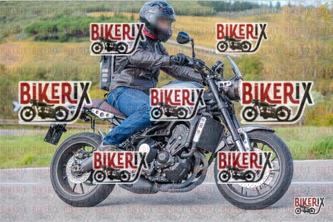 Chianti 26-10-25 h11-59 0443