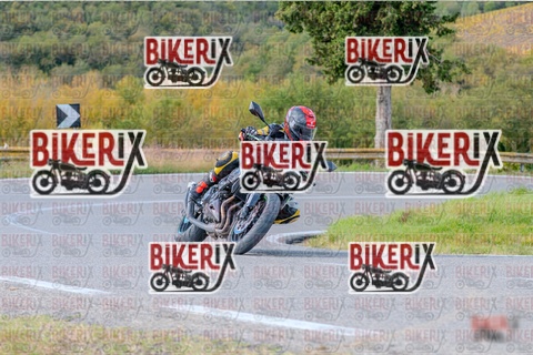 Chianti 26-10-25 h12-56 0585