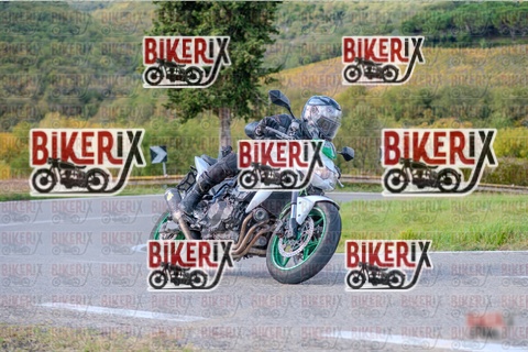 Chianti 26-10-25 h12-56 0598