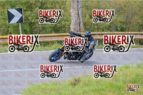 Chianti 26-10-25 h13-04 0629