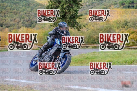 Chianti 26-10-25 h13-07 0667