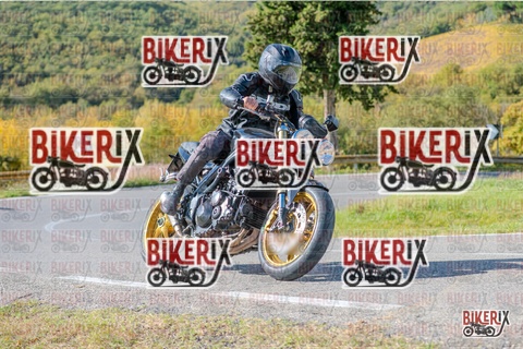 Chianti 26-10-25 h13-24 0748