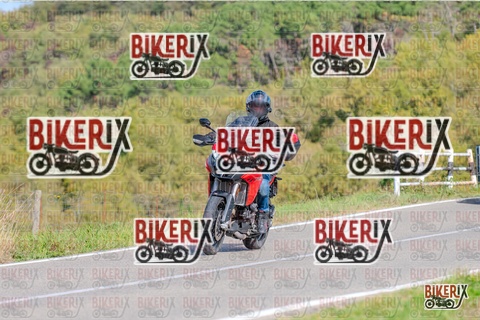 Chianti 26-10-25 h13-44 0842