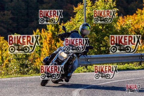 Forca d Acero 12-10-25 h10-11 0007