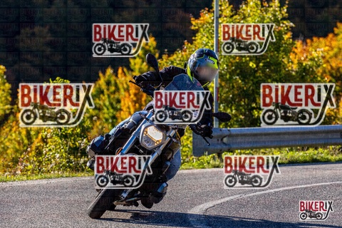 Forca d Acero 12-10-25 h10-11 0008