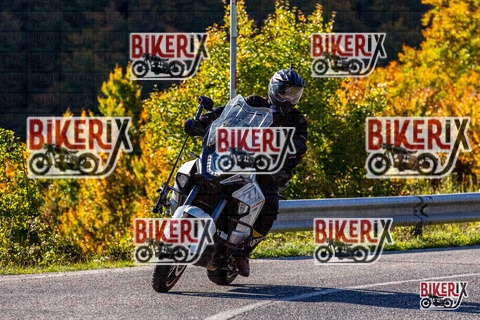 Forca d Acero 12-10-25 h10-12 0016