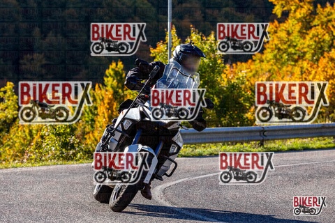 Forca d Acero 12-10-25 h10-12 0018