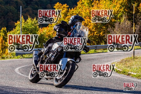 Forca d Acero 12-10-25 h10-12 0019