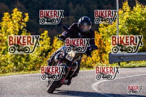 Forca d Acero 12-10-25 h10-20 0028