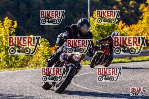 Forca d Acero 12-10-25 h10-20 0029