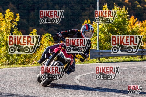 Forca d Acero 12-10-25 h10-20 0031