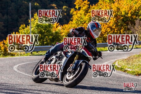 Forca d Acero 12-10-25 h10-20 0032