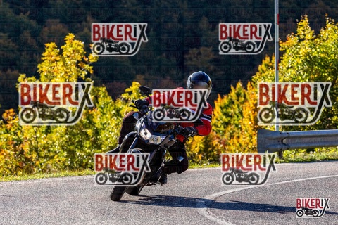 Forca d Acero 12-10-25 h10-20 0036