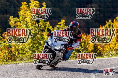 Forca d Acero 12-10-25 h10-20 0038