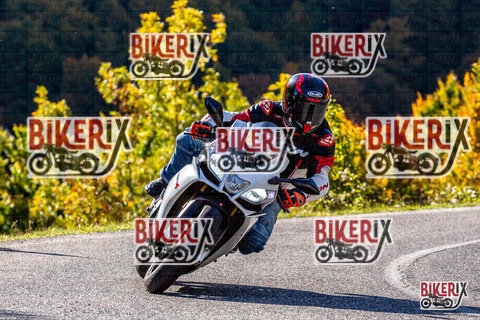 Forca d Acero 12-10-25 h10-20 0039