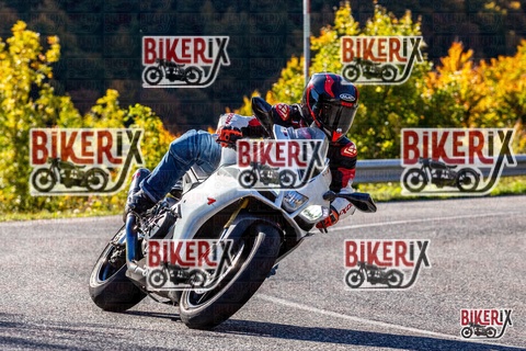 Forca d Acero 12-10-25 h10-20 0040