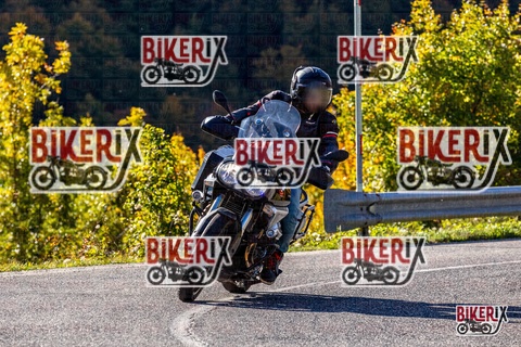 Forca d Acero 12-10-25 h10-22 0069