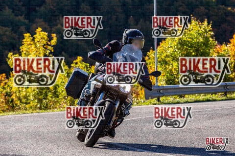 Forca d Acero 12-10-25 h10-22 0071