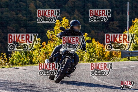 Forca d Acero 12-10-25 h10-22 0076