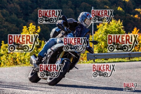 Forca d Acero 12-10-25 h10-22 0081