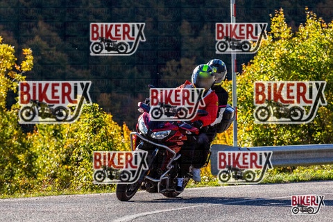 Forca d Acero 12-10-25 h10-22 0083