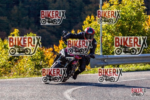 Forca d Acero 12-10-25 h10-24 0090