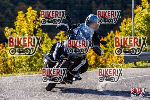 Forca d Acero 12-10-25 h10-32 0130