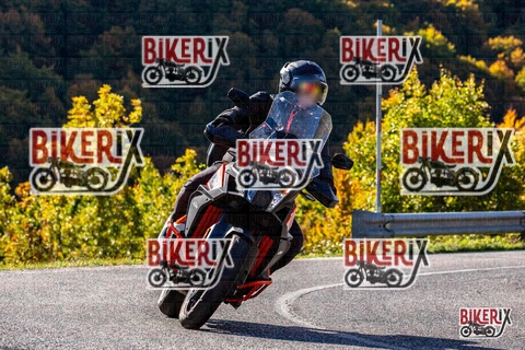 Forca d Acero 12-10-25 h10-32 0135