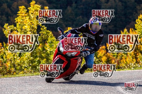 Forca d Acero 12-10-25 h10-36 0148