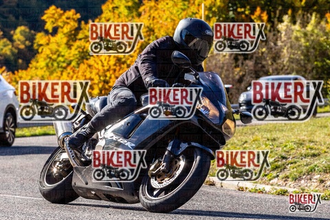 Forca d Acero 12-10-25 h10-37 0167