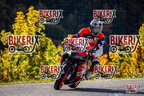 Forca d Acero 12-10-25 h10-38 0172