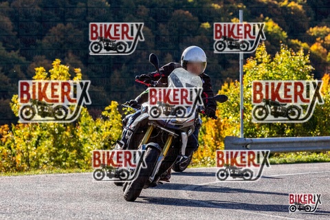 Forca d Acero 12-10-25 h10-38 0175