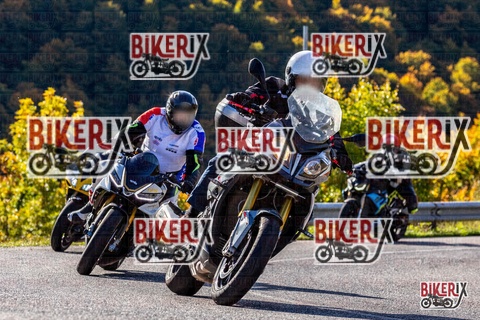 Forca d Acero 12-10-25 h10-38 0176