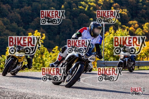 Forca d Acero 12-10-25 h10-38 0177