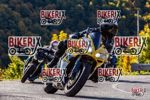 Forca d Acero 12-10-25 h10-38 0178