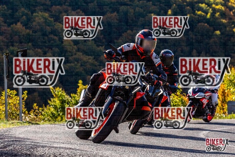 Forca d Acero 12-10-25 h10-38 0180