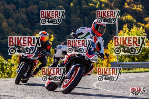 Forca d Acero 12-10-25 h10-38 0181