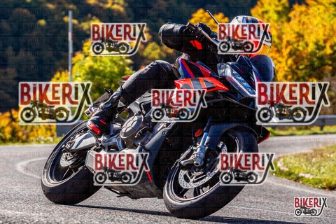 Forca d Acero 12-10-25 h10-38 0182