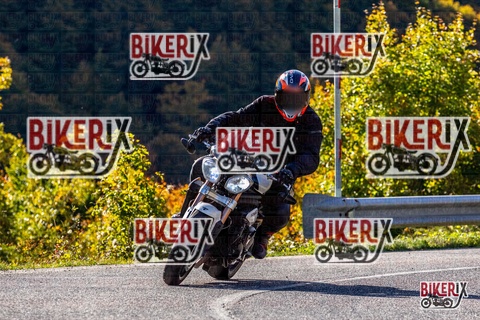 Forca d Acero 12-10-25 h10-38 0183