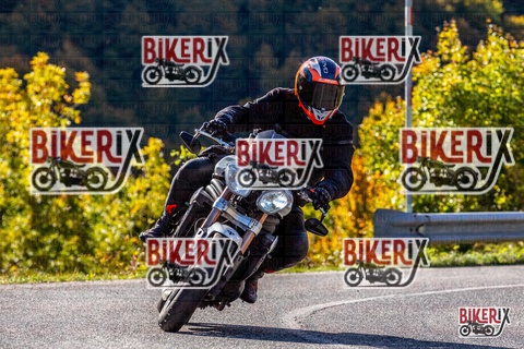 Forca d Acero 12-10-25 h10-38 0184